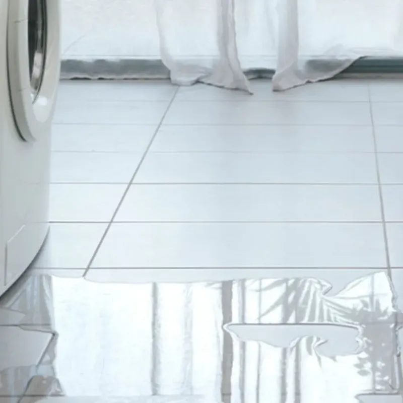 Appliance Leak Cleanup in Placerville, CA
